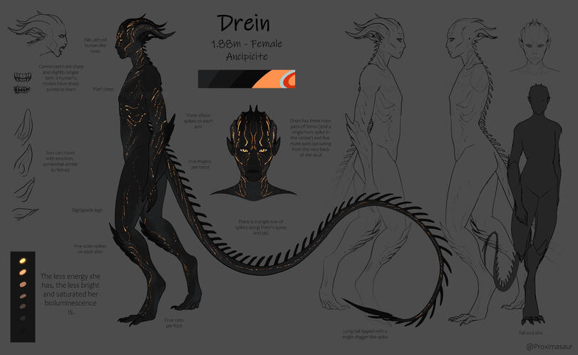 Drein (a more refined artwork)
